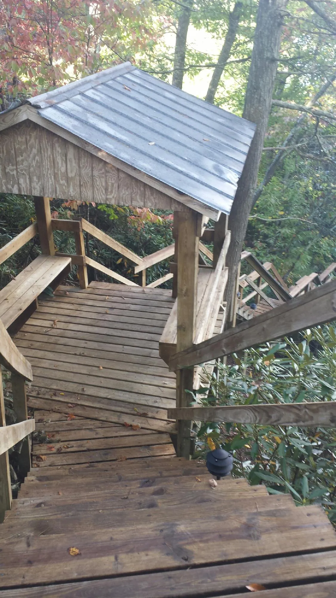 Metal roofed shelter over wooden steps on a wooded walkway — Skylight Repair & Installation work by our crew in Rimforest
