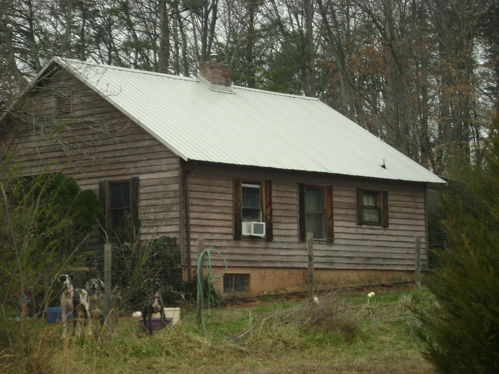 White metal roof on an old wood sided farmhouse, from a Metal Roof Installation job in Rimforest